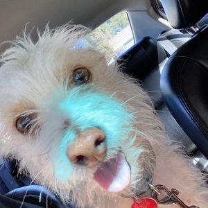 Meet your Posher, Jose